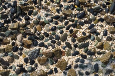 deniz köpüğü kabuk kaya taşları