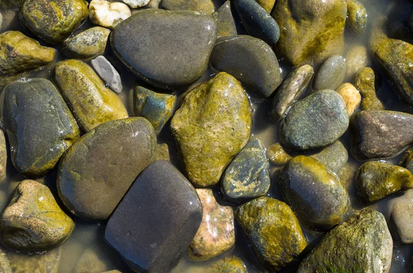 Textura Fundo Abstrata Pedras Coloridas Mar Água Vista Superior — Fotografia de Stock