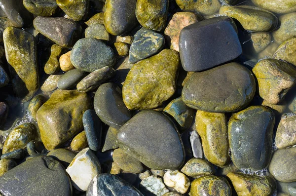 Texture Fond Abstraite Pierres Mer Colorées Dans Eau Vue Dessus — Photo