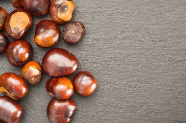 kestane meyve bir kayrak çanak kopya alanı rigte üstten görünüm üzerinde yer alır