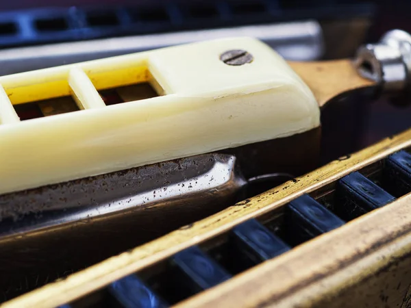 müzik enstrümanları klasik harmonikler diyatonik ve krom
