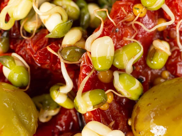 The salad consists of sun dried tomatoes greens various plants spices sprouted mung beans. — Stock Photo, Image