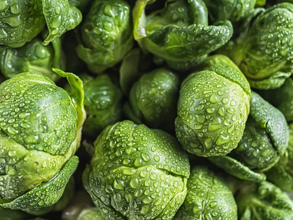 Muitas pequenas cabeças de couve-de-bruxelas rosenkohl em baixas de água close-up . — Fotografia de Stock