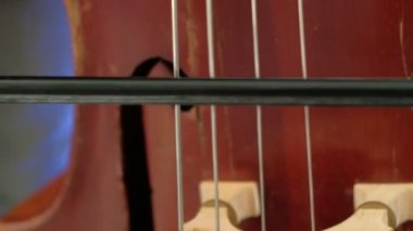 Erkekler yayla bas çalıyor. Kapat. Erkek müzisyen yay tekniği uyguluyor. Klasik konserde kontrabass ritim. Akustik bas enstrümanı