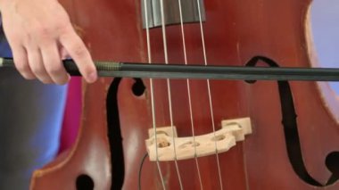 Erkekler yayla bas çalıyor. Kapat. Erkek müzisyen yay tekniği uyguluyor. Klasik konserde kontrabass ritim. Akustik bas enstrümanı