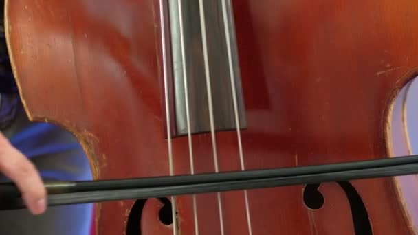 Männer Spielen Kontrabass Mit Bogen Nahaufnahme Männermusiker Bei Der Bogentechnik — Stockvideo