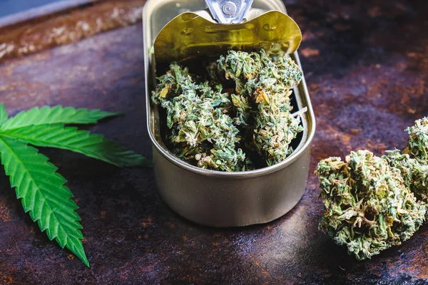 Uma Lata Aberta Que Botões Cannabis Medicinal Nas Proximidades Broto — Fotografia de Stock