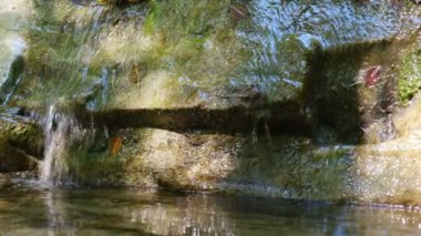 Kurumuş dağ akıntısı, sonbahar mevsiminde yeşil yosun ve renkli yapraklarla kaplı kayaları hızla geçer.