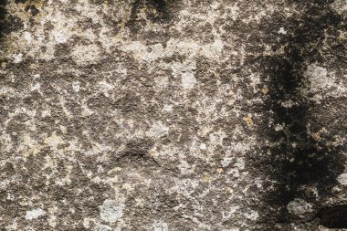 Arka plan ve tasarım kavramları için eski paslı taş dokusu. Kayanın üzerindeki yeşilliklerin gölgesi. Jeoloji. Yatay arkaplan