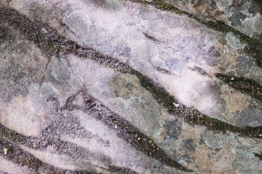 Arka plan ve tasarım kavramları için eski paslı taş dokusu. Kayanın üzerindeki yeşilliklerin gölgesi. Jeoloji. Yatay