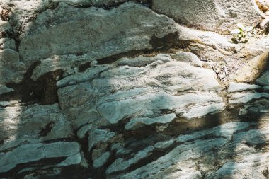 Arka plan ve tasarım kavramları için paslı eski taş dokusu. Kayanın üzerindeki yeşilliklerin gölgesi. Jeoloji. Yatay