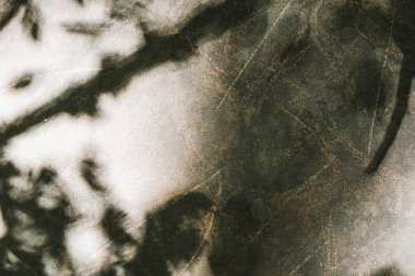 Arka plan ve tasarım kavramları için eski taştan kırsal doku. Kaya tahtasındaki yaprakların gölgesi. Gri. Jeoloji. Yatay olarak. arkaplan