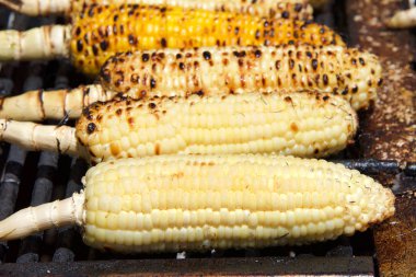 Barbekü ızgara dışında koçan ızgara taze organik mısır. Popüler fuar ve festival yemekleri.