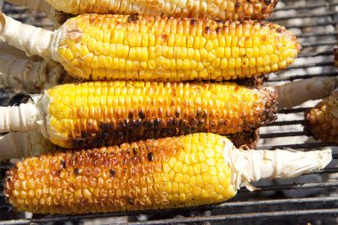 Barbekü ızgara dışında koçan ızgara taze organik mısır. Popüler fuar ve festival yemekleri.