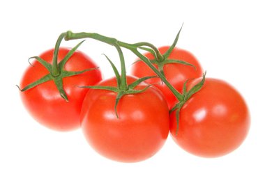 beyaz izole asma üzerinde olgun kırmızı domates grubu. Domates fazla 60 milyon ton her yıl üretilmektedir ile dünyanın en popüler meyve.