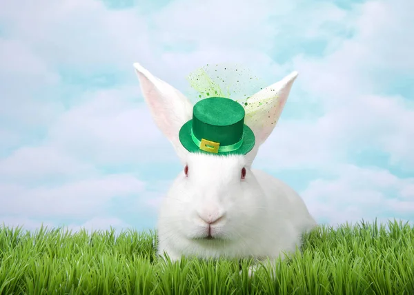 Портрет Одного Білого Альбіна Кролика Укладання Зеленій Траві Носити Святковий — стокове фото