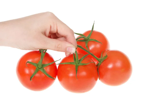 Junge Kaukasische Hand Hält Eine Gruppe Reifer Roter Tomaten Der — Stockfoto