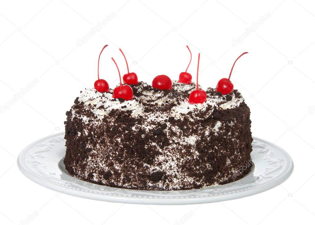 Whole black forest cake on an off white porcelain plate isolated on a white background. Whipped cream, crumb chocolate coating, cherries on top.