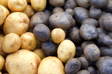 Farmer's Market'te masada iki çeşit patates var. Mor ve kahverengi. 