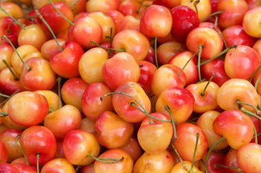 Çiftçi pazarında taze organik Rainier Kiraz kapatın. kiraz bu tür tatlı ve lezzetli ve kırmızı ve sarı bir renge sahiptir.