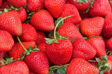 Çiftçi pazarında taze organik çilek kapatın.