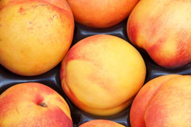 Çiftçi pazarında kırmızı haziran sarısı nektarinlerin üst katında yatıyordu..