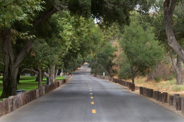 Park alanından geçen uzun orman ağaçlarıyla çevrili tahta direklerle çevrili Paved yolu sol tarafında yeşil çimenler ve 10 mil hız sınırı işareti var. Sakinleştirici sürüş.