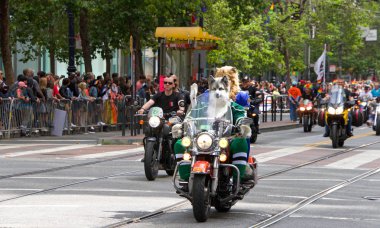 San Francisco, Ca - 30 Haziran 2019: Dünyanın en eski ve en büyük Lgbtqia geçit törenlerinden biri olan 49. Geleneksel Gay Onur Yürüyüşü 'ne katılanlar, 200' den fazla birlik ve 100 binden fazla seyirci