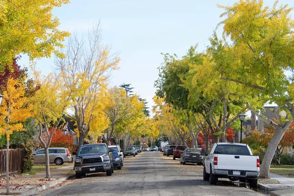 Suburan Residential Neighborhood Trees Autumn Fall Colors Sunny Day Northern — Stock Photo, Image