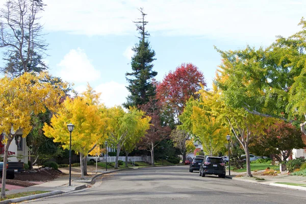 Пригородный Жилой Район Деревьями Осенью Окрашивается Солнечный День Северной Калифорнии — стоковое фото