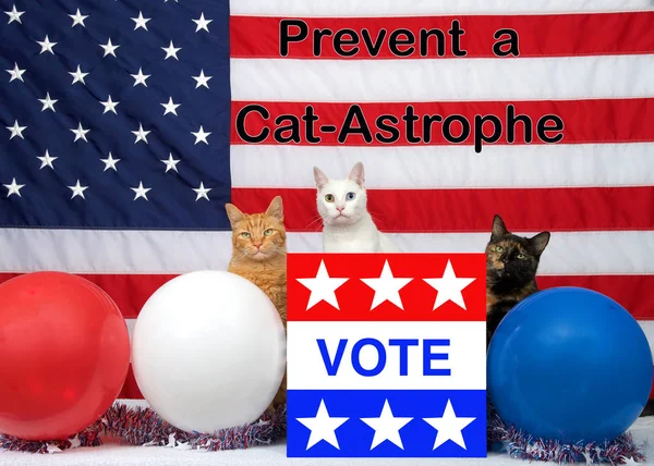 3 unique diverse cats sitting behind an election ballot box with VOTE on the front, red white blue balloons and American Flag in the background. Prevent Cat-astrophe text encouraging people to vote