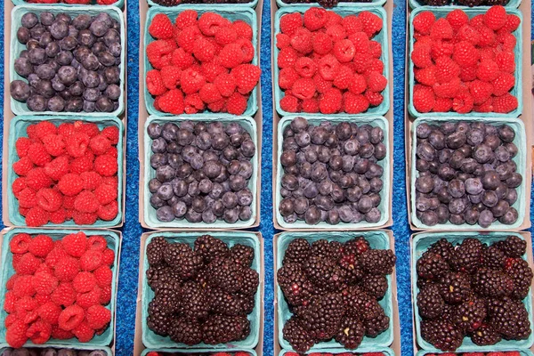 Dozen baskets of berries, raspberries, boysenberries and blue berries lined up for sale at Farmers market. Fresh summer fruit.