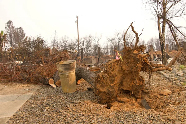 Huis Afgebrand Tot Grond Met Boom Volledig Ontworteld Door Tornado — Stockfoto