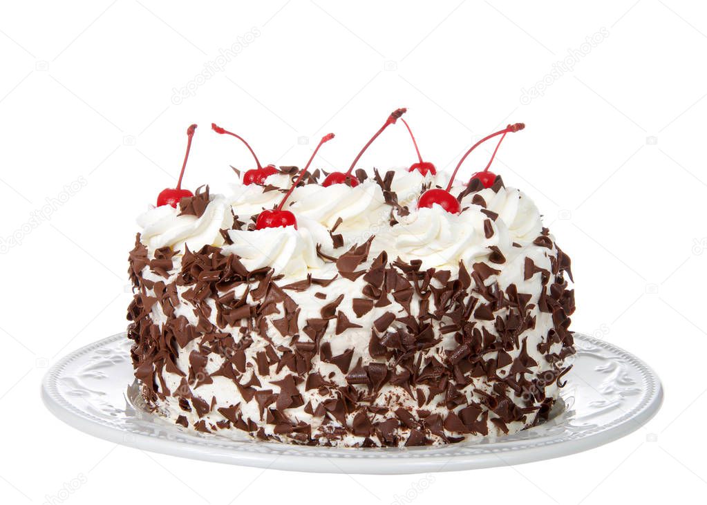 black forest cake on an off white plate isolated on a white background. Whipped cream, shaved chocolate candy, cherries on top.