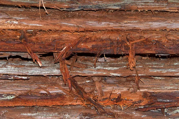 Layers of wood bark freshly cut from logs stacked. Discarded during mill process of making lumber for construction.