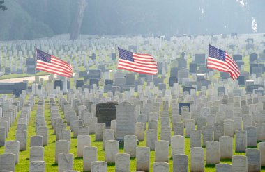 San Francisco, Ca - 11 Kasım 2018: Manyetik Monterey Cypress ağaçları tarafından çerçevelenen San Francisco Ulusal Mezarlığı,.