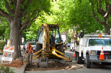 Alameda, Ca - 11 Temmuz 2018: İlçe çalışanları ağaç kökleri tarafından hasar gören yolları onarıyor. Kök kaldırma, bazen kaldırım kaldırma denir, yeterli büyüme alanı olmayan ağaç kökleri tarafından tetiklenir.