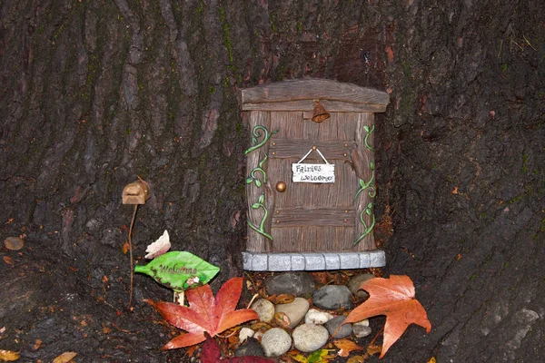 Close up of tree trunk with fairy door, autumn leaves. An urban art movement of tiny fairy doors hitting the curbs, trees, and public spaces on the Island of Alameda, CA spreading a little whimsy