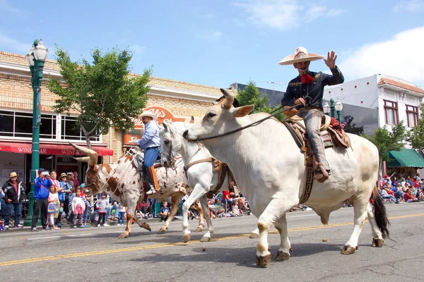 Alameda Juli 2018 Die Alameda Parade Juli Ist Eine Der — Stockfoto