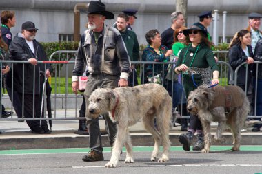 San Francisco, Ca - 17 Mart 2018: 167. Geleneksel Sf St. Patricks Günü Geçit Töreni 'ne katılan Kuzey İrlanda Kurt Avcıları Kulübü üyeleri. Batı Kıyısı İrlanda 'nın en büyük kültürel etkinliği.