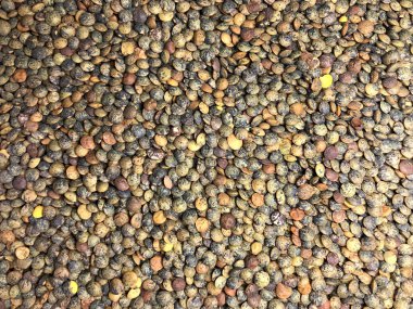 Organik Fransız Yeşil Mercimeklerinin arkaplan dokusu