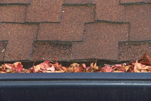 屋顶上的排水沟 没有排水沟护罩 被树叶堵塞 堵塞水槽 维修需求增加的风险增加 是潜在的火灾危险 — 图库照片