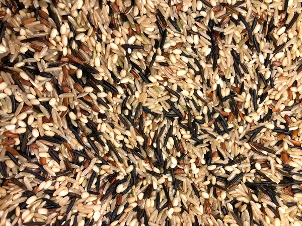 Bakgrund Textur Ekologisk Wild Blend Rice — Stockfoto