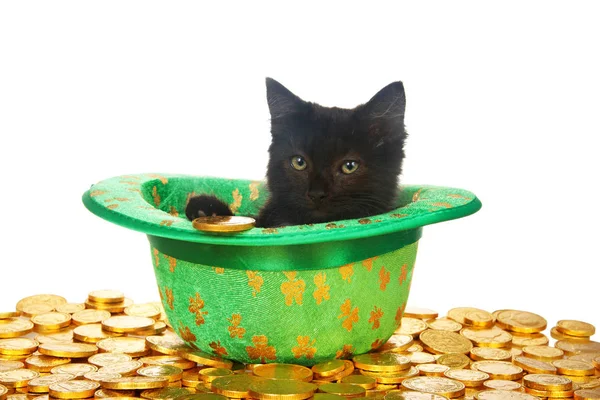 One Black Kitten Saint Patrick Day Themed Green Top Hat — Stockfoto