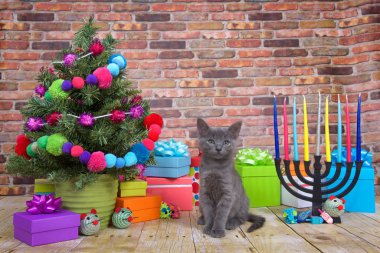 Ahşap bir zeminde oturan tüylü gri bir kedi yavrusu, sağ tarafta menorayla birlikte izleyicilerden ayrılan minyatür Noel ağacı. Noel ve Hanuka 'nın popüler kültür kombinasyonu. Noelukka.