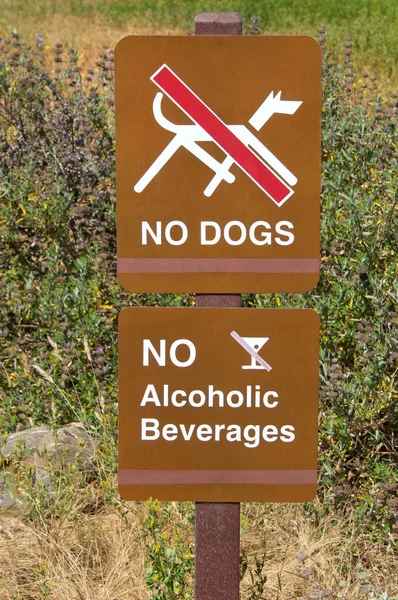 茶色の看板犬もアルコール飲料もない背の高い雑草が背景に生えている — ストック写真