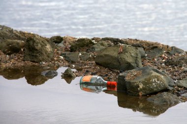 Kumsaldaki gelgit havuzuna atılmış boş cam şişe. Her yıl bir milyon deniz kuşu deniz ürünleri tarafından öldürülüyor.