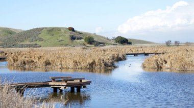 Önceki bölümlerde Coyote Hills 'teki Pier Jetty ile birlikte kurumuş göl yatağı.