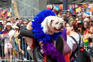 San Francisco, Ca - 26 Haziran 2016: 46. Geleneksel San Francisco Gay Onur Yürüyüşü 'ne kimliği belirsiz katılımcılar. Bu yılın teması 