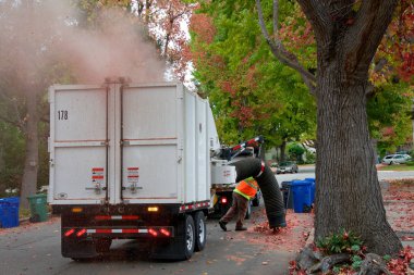 Alameda, Ca - 15 Kasım 2016: Alameda kentsel ormanlarına her yıl düşen yaprakların temizlenmesi de dahil olmak üzere yüksek öncelik veriliyor. Büyük bir kamyon düşmüş yaprak kalıntılarını temizliyor.. 